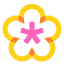 Spa Flower icon