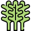 Arugula icon