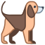 Perro icon