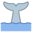 Tail Of Whale icon