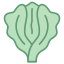 Lechuga icon