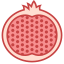 Granatapfel icon