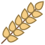 Wheat icon