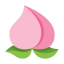 Chinese Peach icon