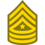 Sergeant Major SGT icon