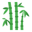 Bamboo icon