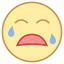 Crying icon