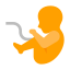 Fœtus icon