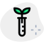 Tube with leaves for conduction lab testing icon