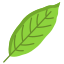 Laurel Leaf icon