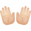 mains ouvertes-peau-claire icon