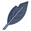 Quill icon