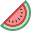 Watermelon icon