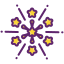 Fireworks icon