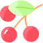 Berries icon