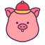 Pig icon