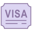 Visa de entrada icon