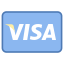 Visa icon