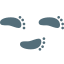 발자국 포켓몬 icon