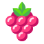 蔓莓果 icon