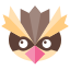 Pidgey icon