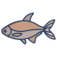 Bream Fish icon
