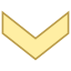 Chevron Down icon