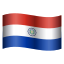 巴拉圭表情符号 icon