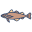 Cod Fish icon