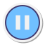 Pause Button icon