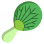 Pok Choi Leaf icon