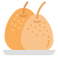 Pear icon