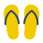 Flip Flops icon