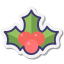 クリスマス植物 icon