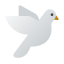 鸽子 icon