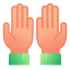 Ganze Hand icon