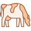 Raza de vaca icon