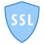 Segurança SSL icon