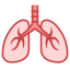 Lungs icon