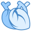 Medical Heart icon