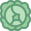 Cabbage icon