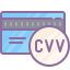 Код проверки CVV icon