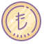 Turkish Lira icon