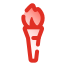 Olympic Torch icon