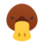 ornitorrinco icon
