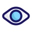 eye icon