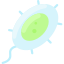 Bacteria icon