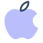 Apple Logo icon