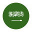 サウジアラビア円形 icon
