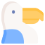 Toucan icon